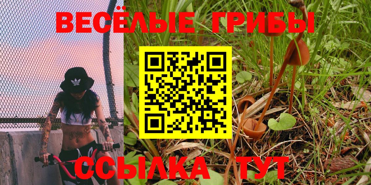 Моздок  где можно купить наркотик  Вход с VPN  Галлюциногенные грибы Cubensis 
