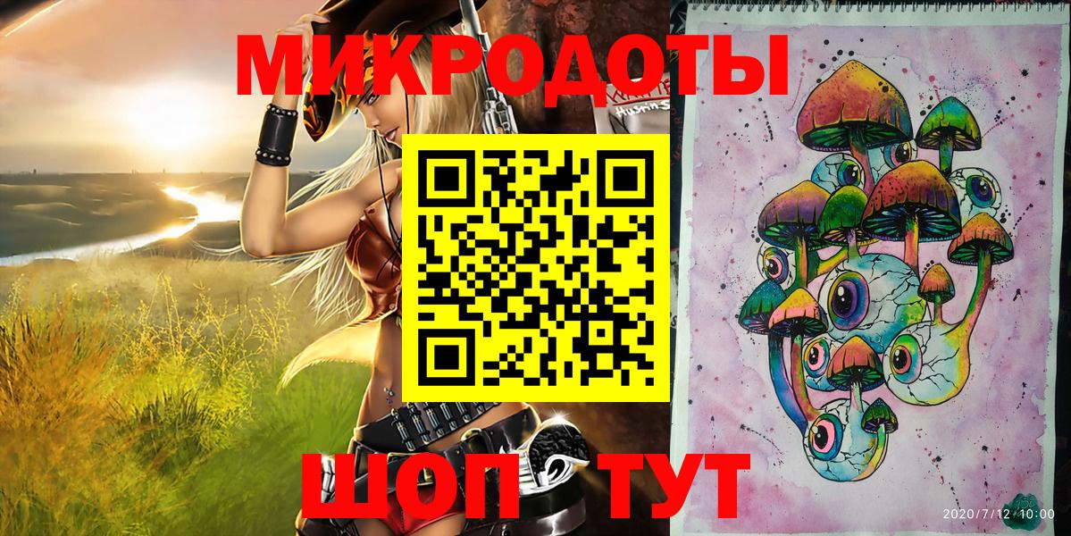 Галлюциногенные грибы Psilocybe Моздок