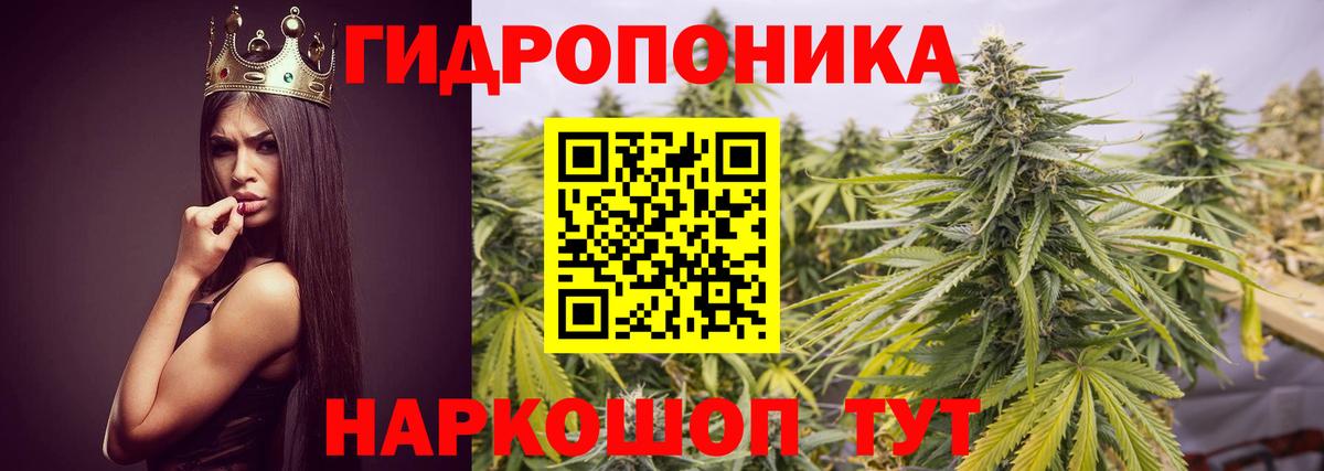 Марихуана конопля Моздок